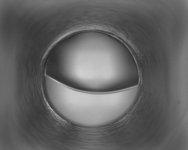 X0000084521500200702230824