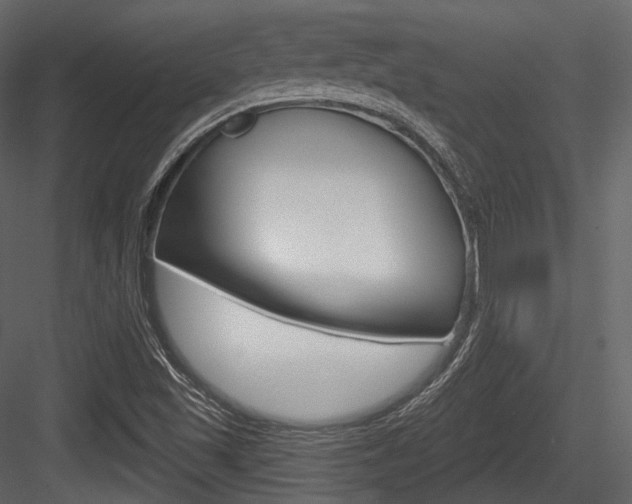 X0000084521501200702230824
