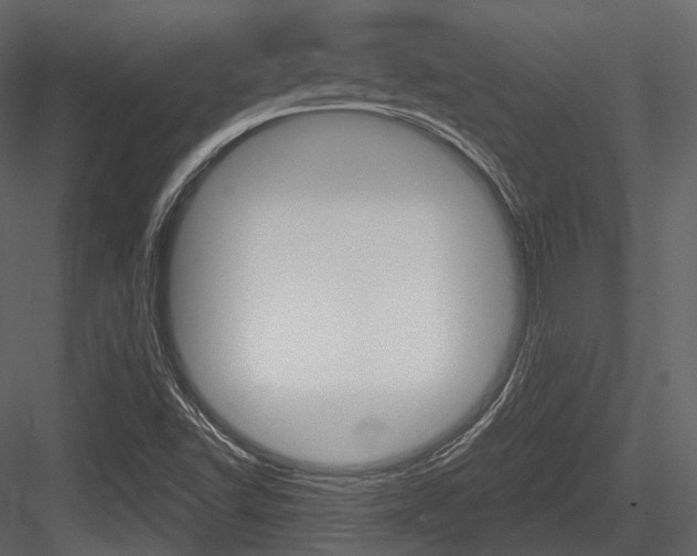 X0000084521502200702230824