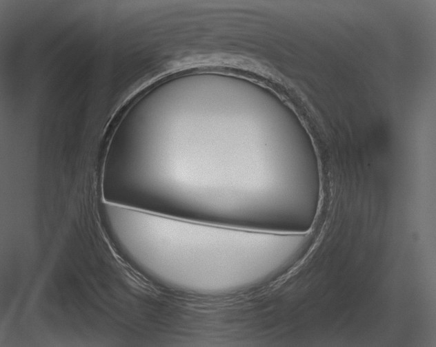 X0000084521505200702230824