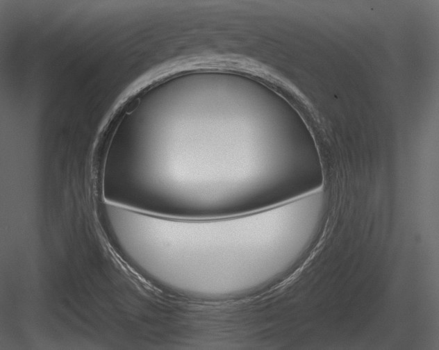 X0000084521506200702230824