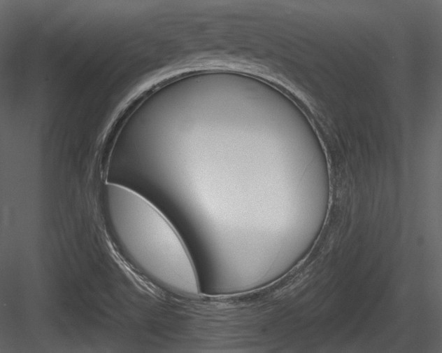 X0000084521507200702230824