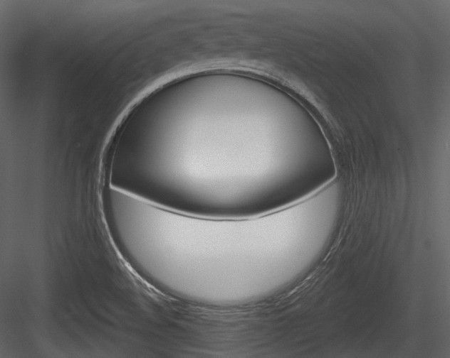 X0000084521508200702230824
