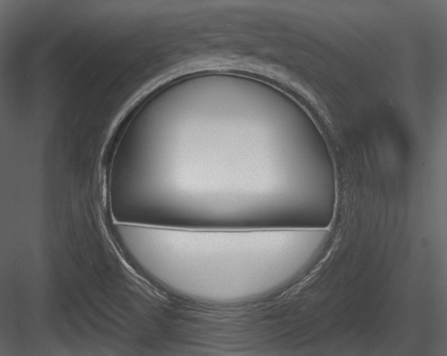X0000084521509200702230824