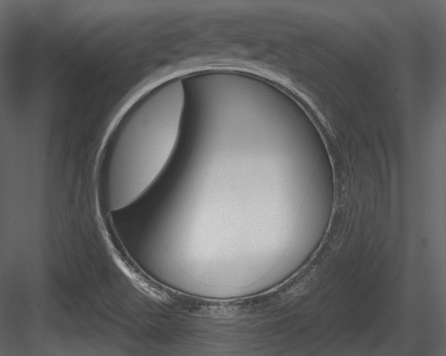 X0000084521511200702230824