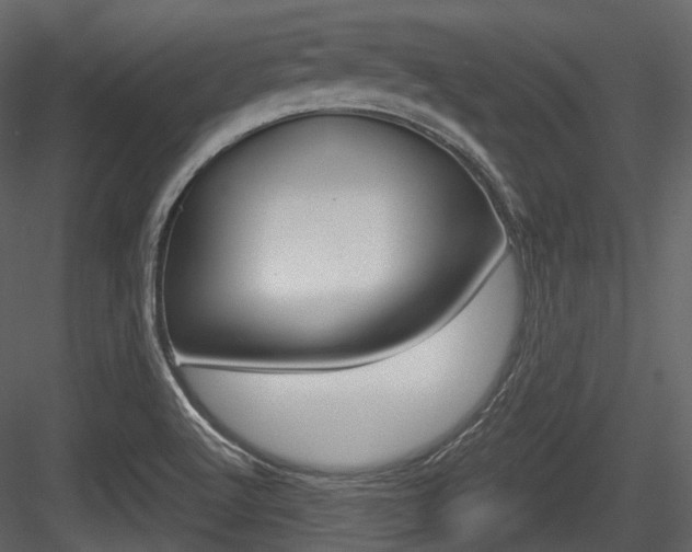 X0000084521512200702230824