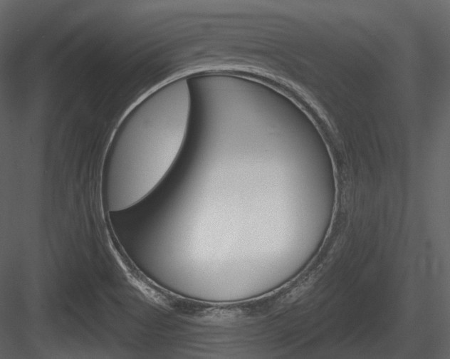 X0000084521513200702230824