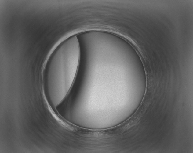 X0000084521515200702230824