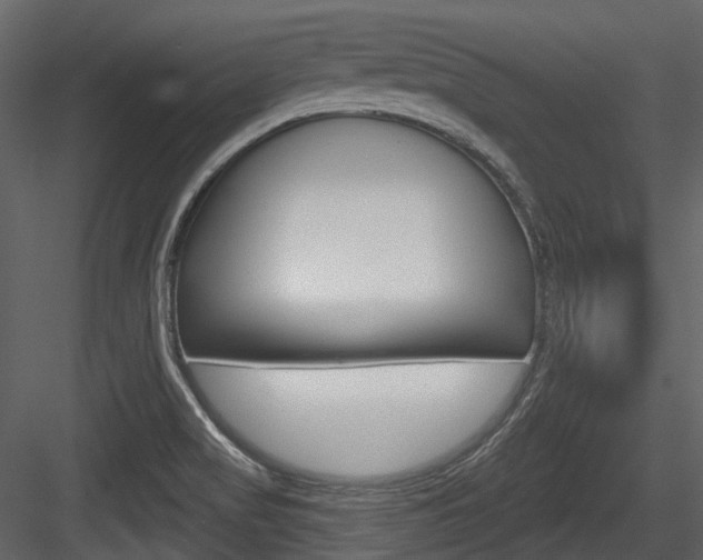 X0000084521517200702230824