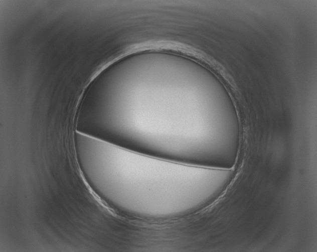 X0000084521521200702230824