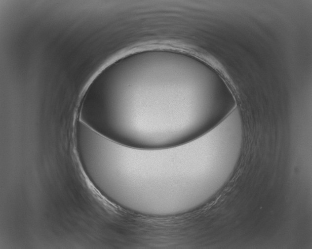 X0000084521524200702230824