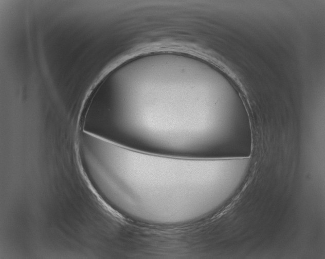 X0000084521525200702230824