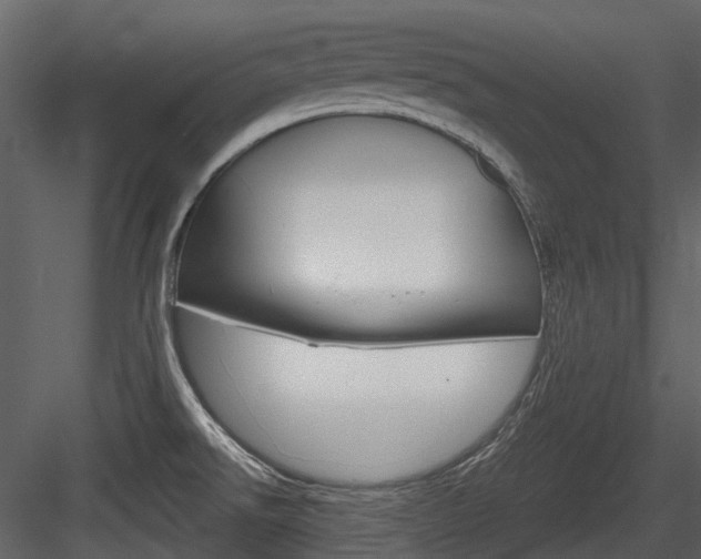 X0000084521526200702230824
