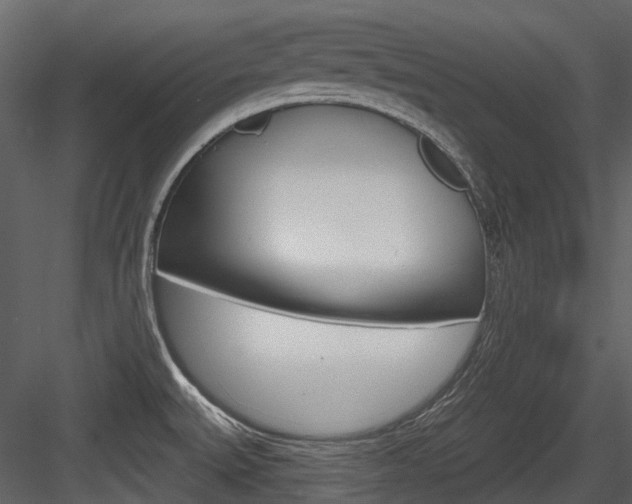 X0000084521527200702230824
