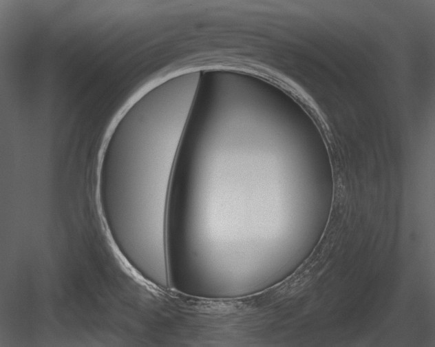 X0000084521528200702230824