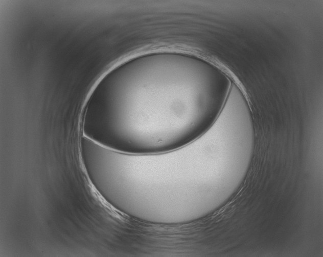 X0000084521532200702230824