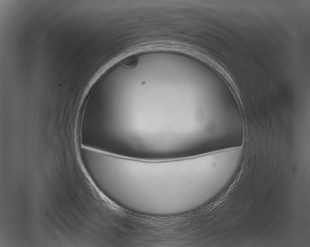 X0000084521533200702230824