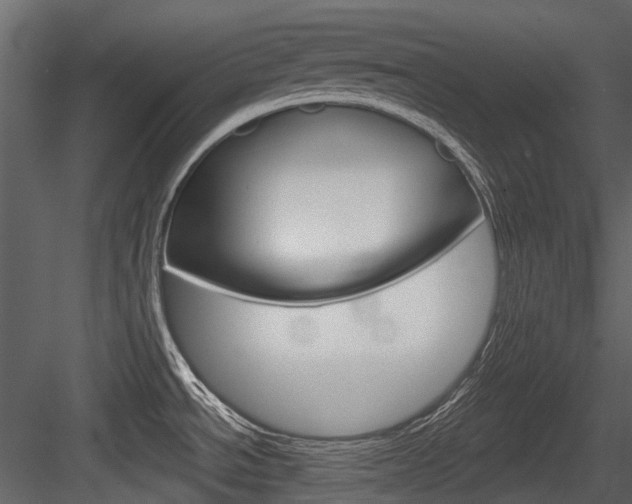 X0000084521534200702230824