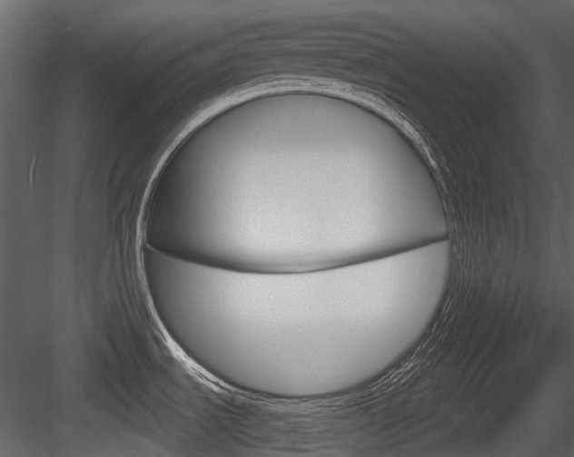 X0000084521535200702230824