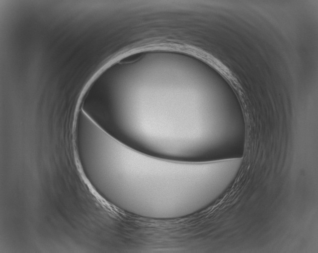 X0000084521536200702230824