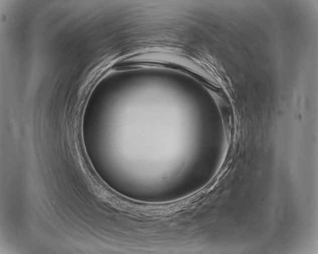 X0000084520001200702231146