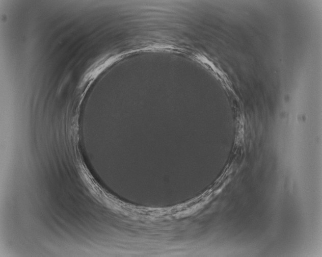 X0000084520002200702231146