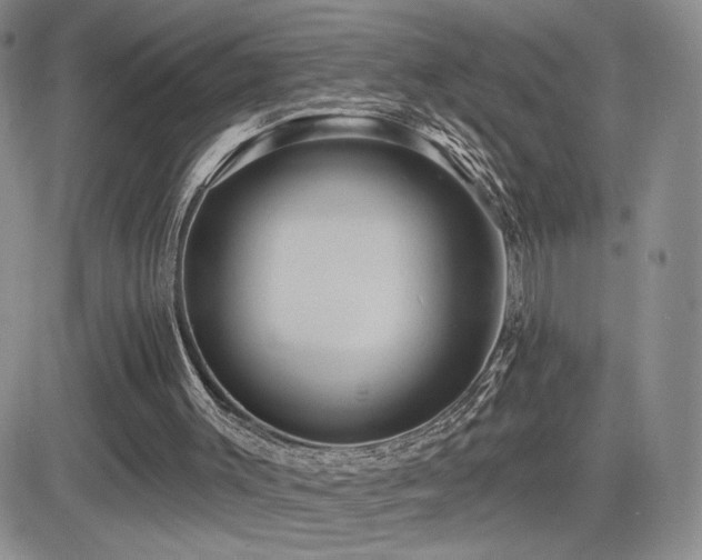 X0000084520003200702231146