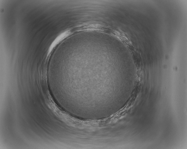 X0000084520004200702231146