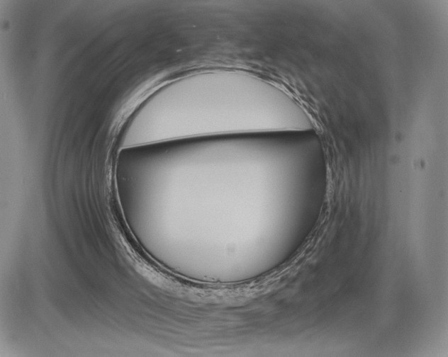 X0000084520005200702231146