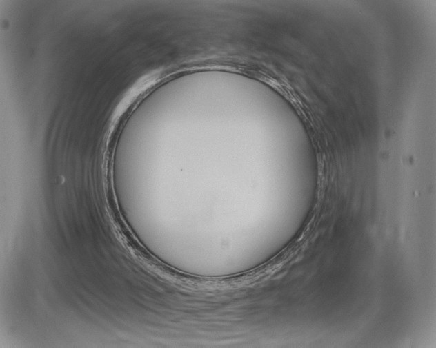 X0000084520006200702231146