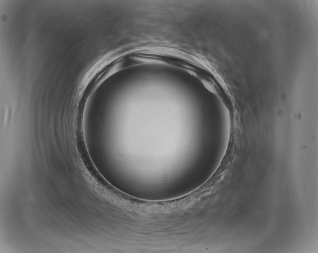 X0000084520007200702231146