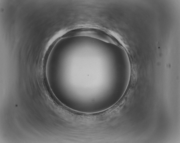 X0000084520008200702231146