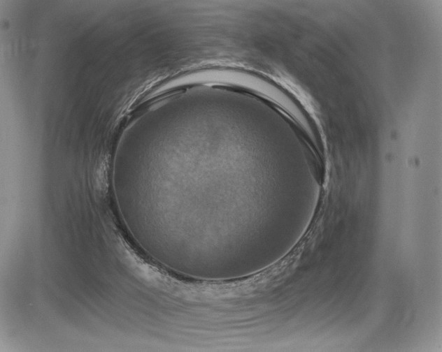 X0000084520009200702231146