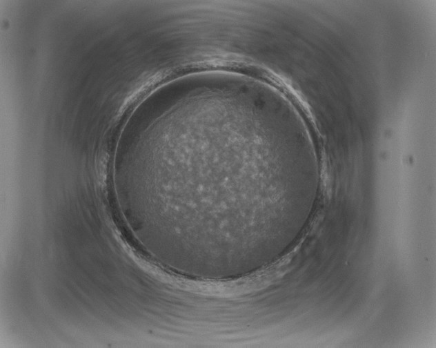 X0000084520010200702231146