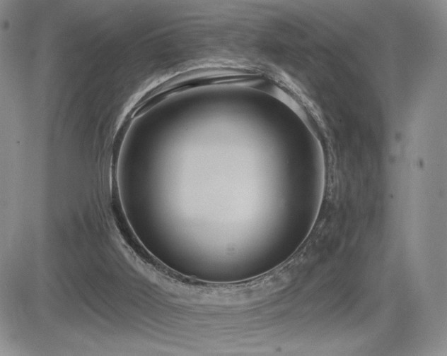 X0000084520011200702231146