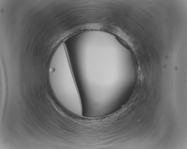 X0000084520013200702231146