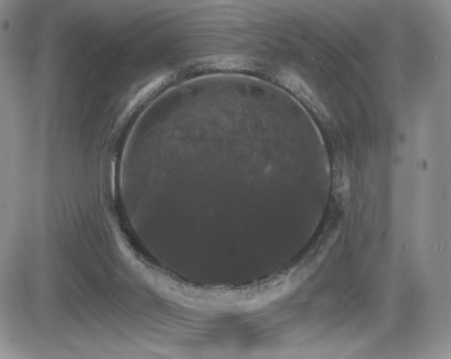 X0000084520014200702231146