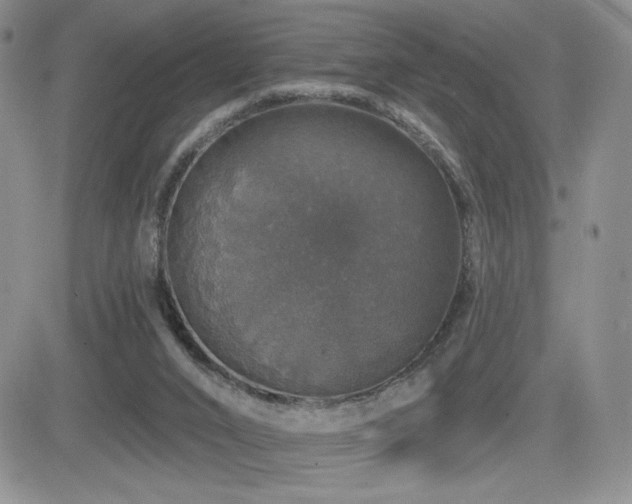 X0000084520016200702231146