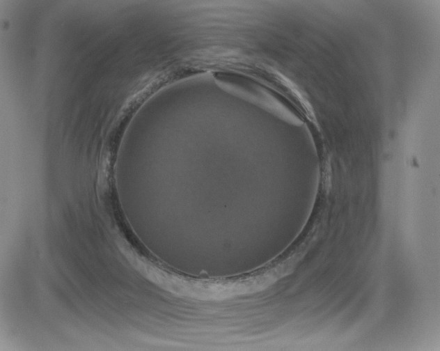 X0000084520018200702231146