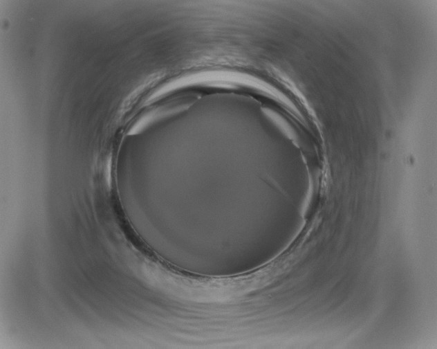 X0000084520019200702231146