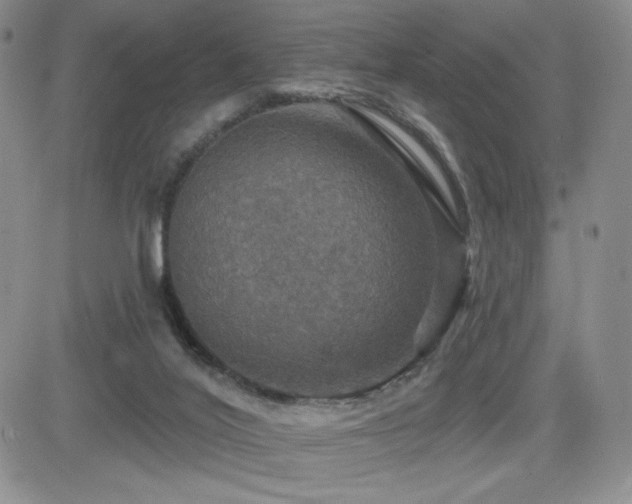 X0000084520020200702231146