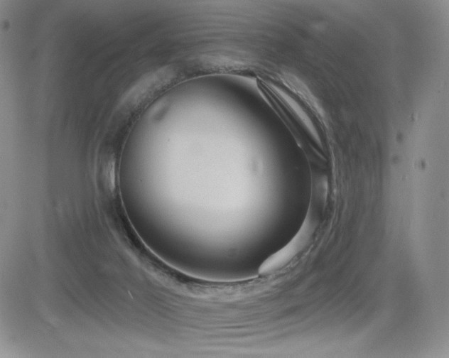 X0000084520021200702231146