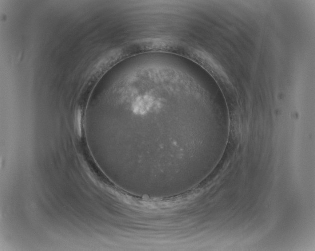 X0000084520022200702231146