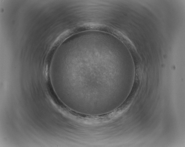 X0000084520024200702231146