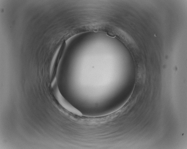 X0000084520025200702231146