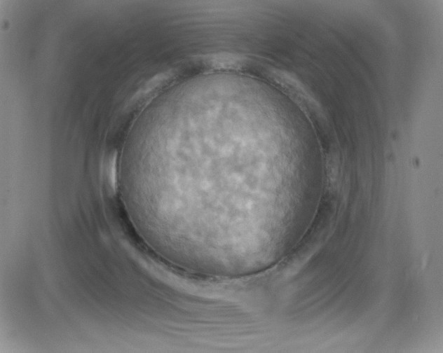 X0000084520028200702231146