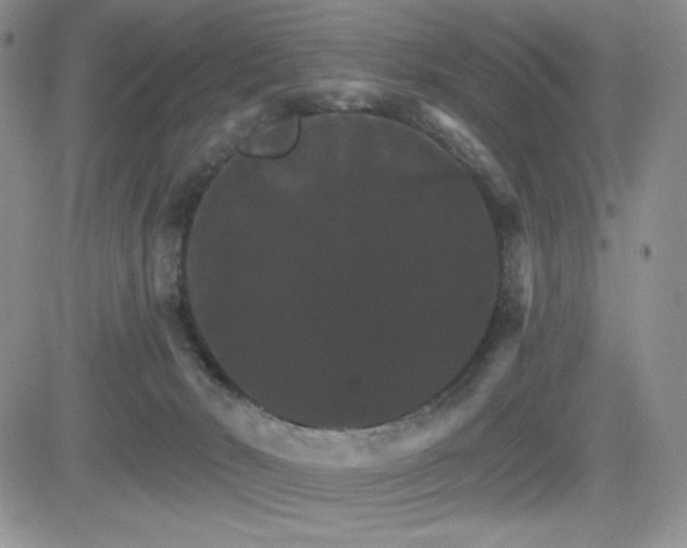 X0000084520030200702231146