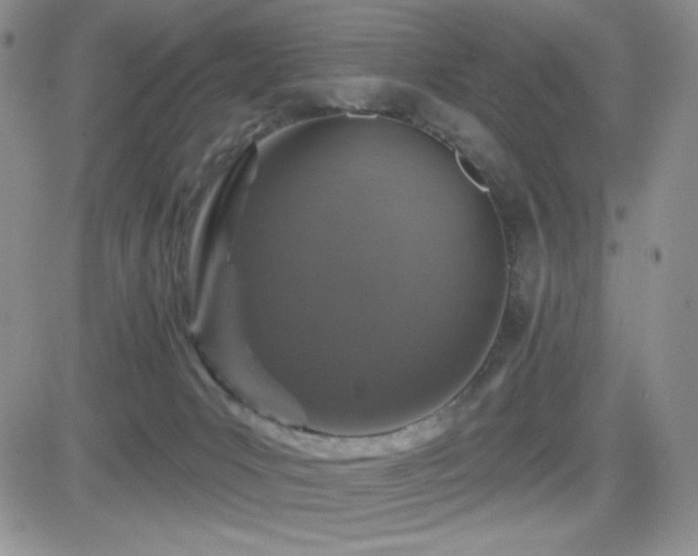 X0000084520031200702231146