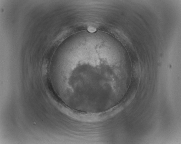 X0000084520032200702231146