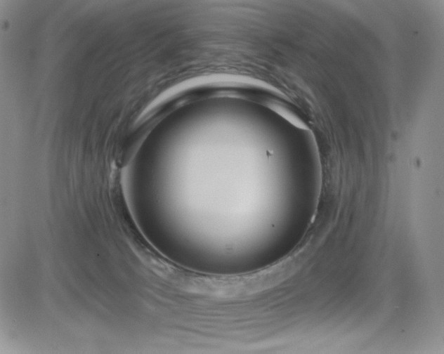 X0000084520033200702231146